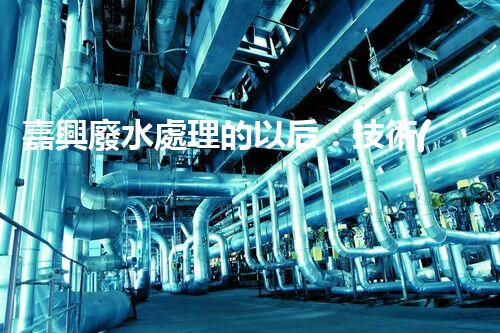 嘉興廢水處理的以后：技術(shù)創(chuàng)新與生態(tài)可持續(xù)？
